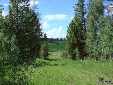 32615 Colt Trail, Oak Creek, CO 80467 - photo 6