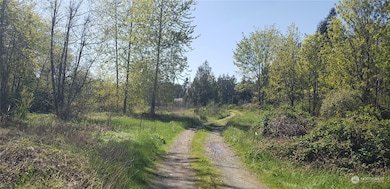 10010 219th Street Ct E, Graham, WA 98338 - photo 3