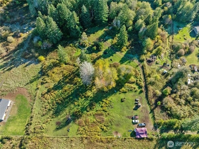 433 W Lucas Ln, Elma, WA 98541 - photo 5