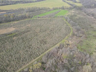 Ms-448, Indianola, MS 38751 - photo 7