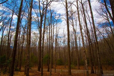 0000 Carolina Hills Dr, Hendersonville, NC 28792 - photo 7