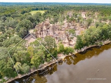 1.0 Mol Ac Old Hwy 24 Parcel 1, Mc Lain, MS 39456 - photo 3