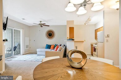 2204 Westcourt Ln unit 313, Herndon, VA 20170 - photo 4