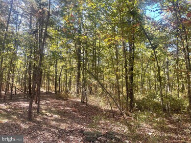 0 4th Ave, Hamilton, NJ 08330 - photo 4