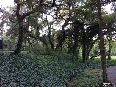 11004 Mesquite Flat, Helotes, TX 78023 - photo 3