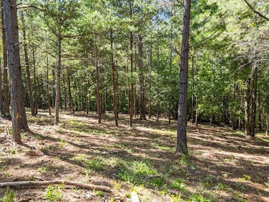 Lot 9 Mooring Line Dr, Seneca, SC 29672 - photo 7