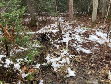 0 Rt 8 unit 11608225, Ohio, NY 13324 - photo 4