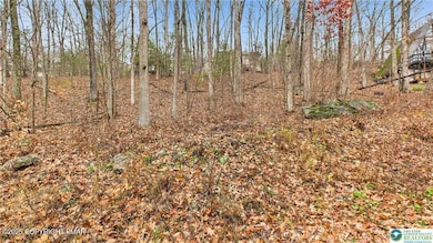 221 Brookdale Dr 221 Dr, Bartonsville, PA 18321 - photo 7