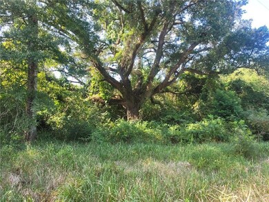 View of undeveloped land