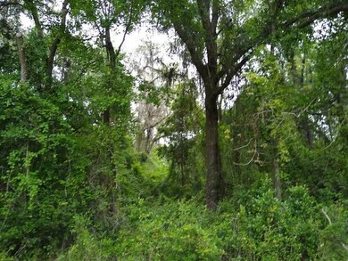 0 SE County Road 349, Lake City, FL 32025 - photo 2