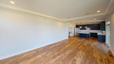 Lot 118 Cache Isle Cir, Channahon, IL 60410 - photo 5