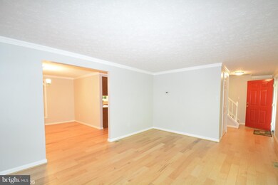 8304 Old Tree Ct, Springfield, VA 22153 - photo 5