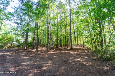 109 Spinnaker Point Rd N, Oriental, NC 28571 - photo 7