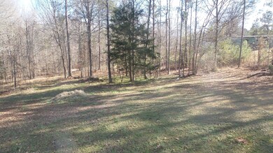 2202 Partridgeotwn Rd, Lincolnton, GA 30817 - photo 6