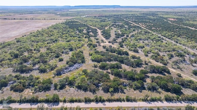 ot 1 County Road 205, Ovalo, TX 79541 - photo 4