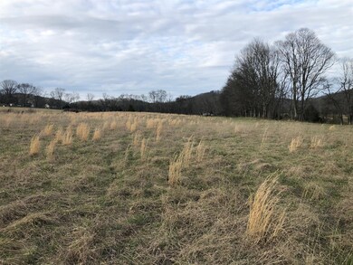 Perfect place for a few horses. 