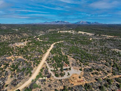 1657 De Oro Way, Hesperus, CO 81326 - photo 5