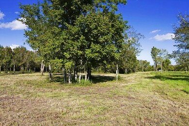 000 Shamrock Ln, Manvel, TX 77578 - photo 6