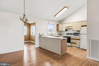 206 Chapel of Ease St, Dagsboro, DE 19939 - photo 7