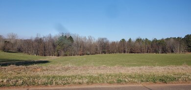 1041 Holstein Rd, Buckhead, GA 30625 - photo 3