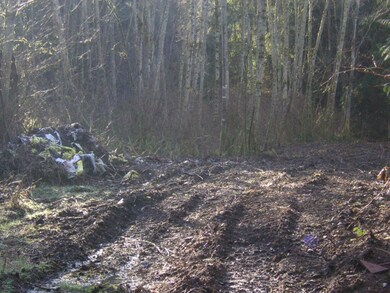 191 40th Ave NW, Stanwood, WA 98292 - photo 2