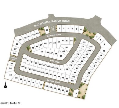 3701 W Styx Ln unit Lot 66, Flagstaff, AZ 86001 - photo 3