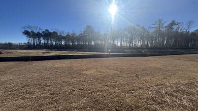 180 Carolina Groves - Back Yard