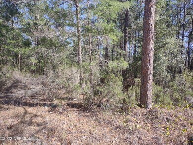 Lots facing Faye St 1