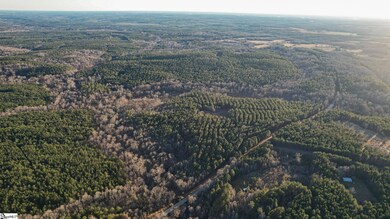 03 Jefferson Davis Rd unit Tract C, Mountville, SC 29370 - photo 7