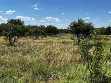 View of local wilderness with a rural view