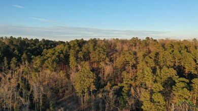 Drone / aerial view with a view of trees