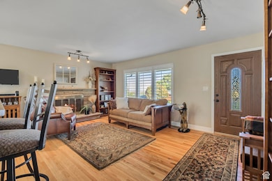 Living area featuring a fireplace, light wood finished floors, and rail lighting