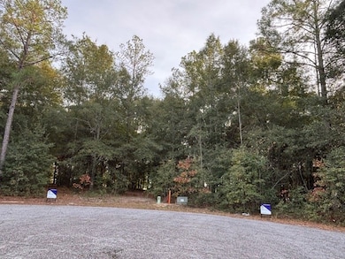 Lot 32 Marie Ln, Bainbridge, GA 39817 - photo 2