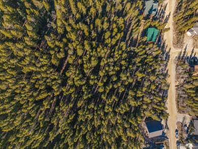 421 N Aspen St unit 6, Alma, CO 80420 - photo 4