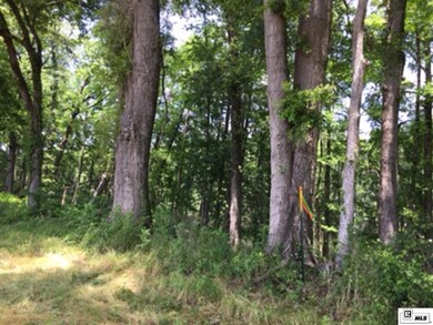 9382 Desiard Trace, Sterlington, LA 71280 - photo 5