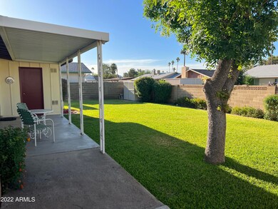 backyard from