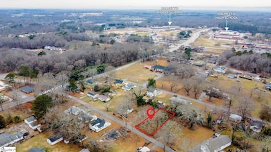 206 N Hamilton St unit 8 W Carolina Street, Williamston, SC 29697 - photo 3