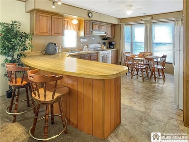 136 7th Greenhurst Village Dr, Ellery, NY 14701 - photo 4