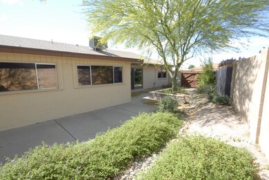 back yard