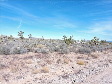 26241 Hummingbird Ln, Meadview, AZ 86444 - photo 2