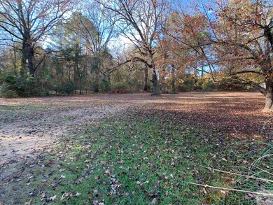 6207 Chaparral St, Texarkana, TX 75503 - photo 3