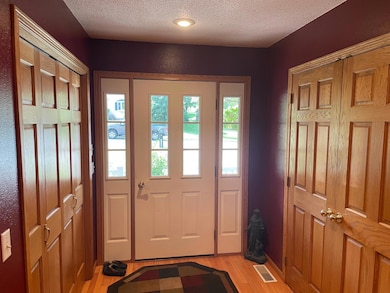 313 Alex Moore St, Sauk Centre, MN 56378 - photo 3