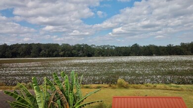 2864 McConnell Bridge Rd, Adel, GA 31620 - photo 2