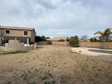 Backyard 4