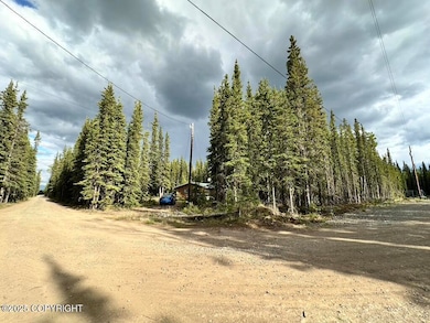 000 Sourdough Dr, Tok, AK 99780 - photo 3