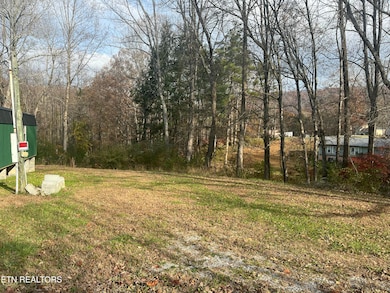 114 E C Noe Rd, Coalfield, TN 37840 - photo 4