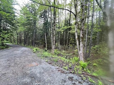 0 Honeycomb Hill, Marlboro, VT 05301 - photo 4