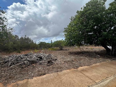 0 Kaana St unit 499, Maunaloa, HI 96770 - photo 3