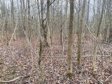 County Road 15, Fillmore, NY 14836 - photo 6