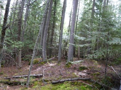 30179 Chintzey Ln, Bigfork, MT 59911 - photo 7